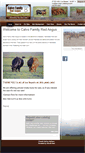 Mobile Screenshot of calvofamilyredangus.com